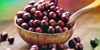 Açaí Nutrilatino - Qual o melhor solo para o plantio do açaí?