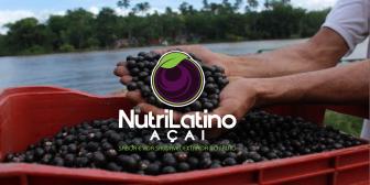 Açaí: A pequena fruta que movimenta milhões na economia paraense.