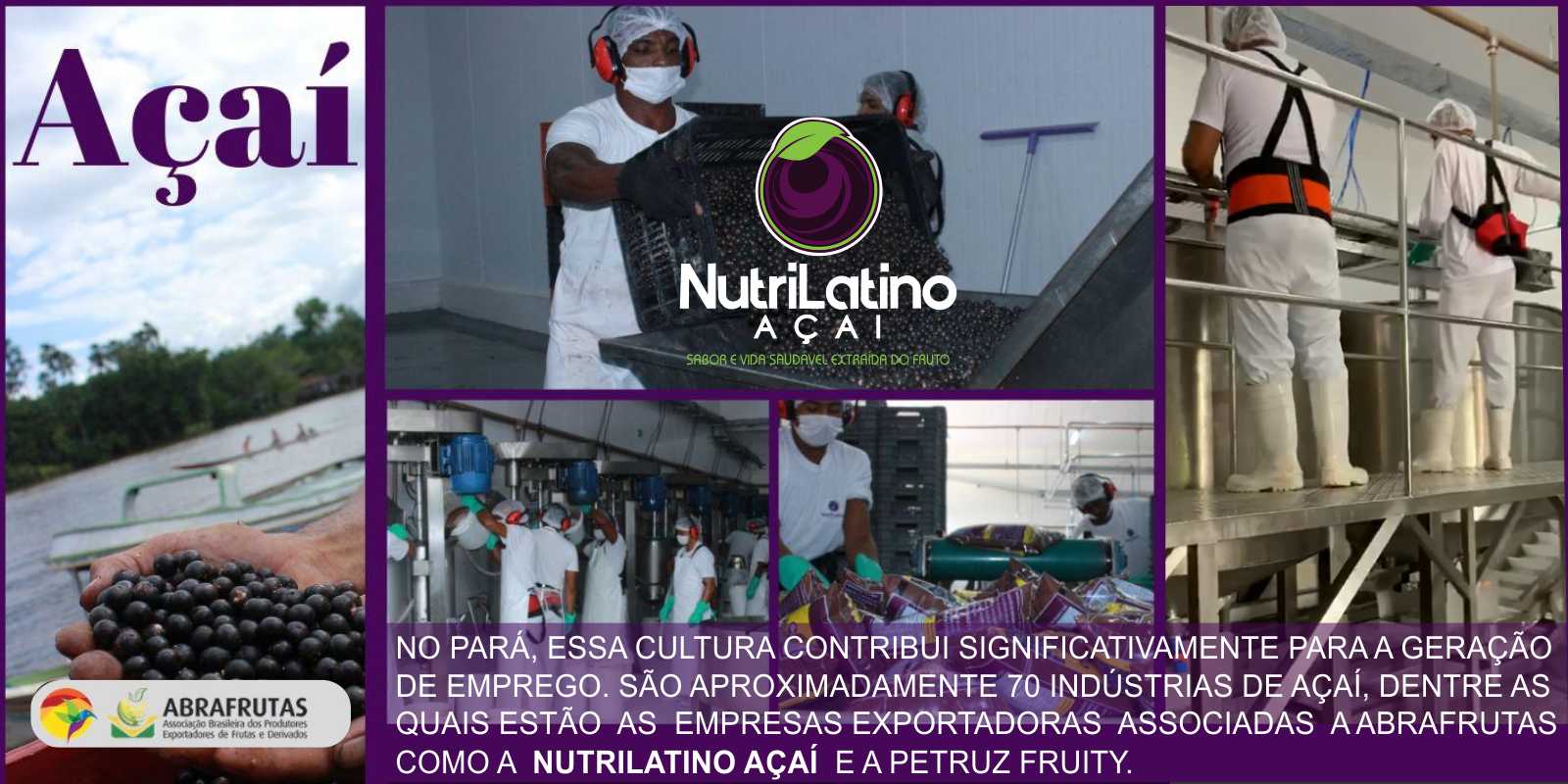 Açaí Nutrilatino é referência no programa de industrialização do Açaí